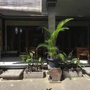 Rumah Ary & Ubud (Bali)
